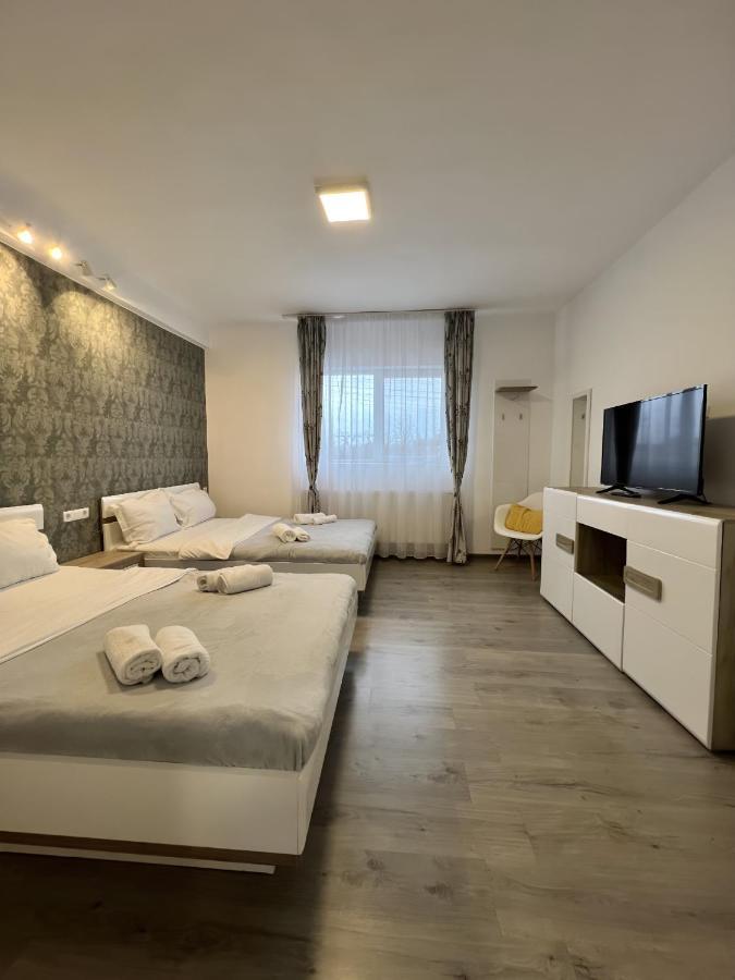 Salt Mine Retreat - Free Parking Turda Exterior foto